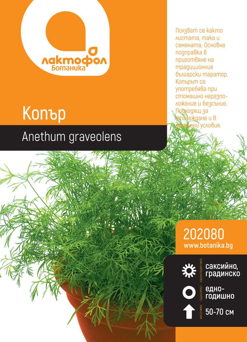 DINEL SEEDS BOTANIST