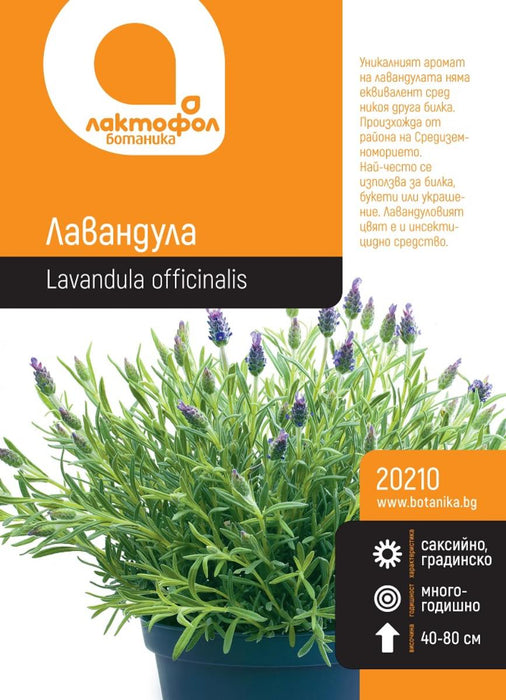LAVENDER SEEDS BOTANIST