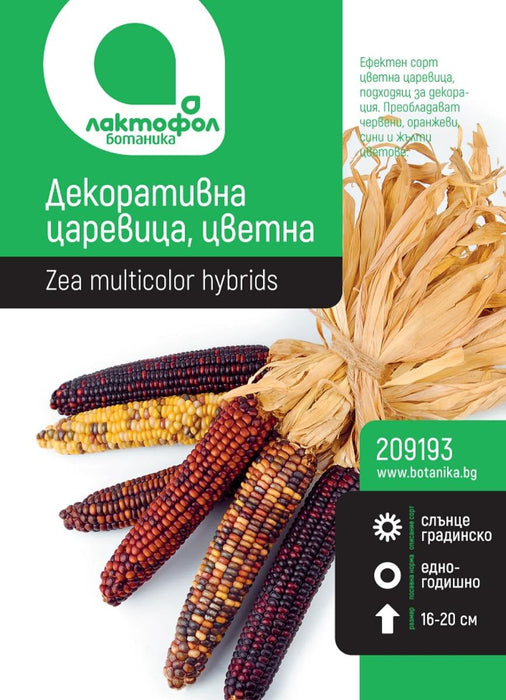 SEED DECORATIVE CORN BOTANICAL