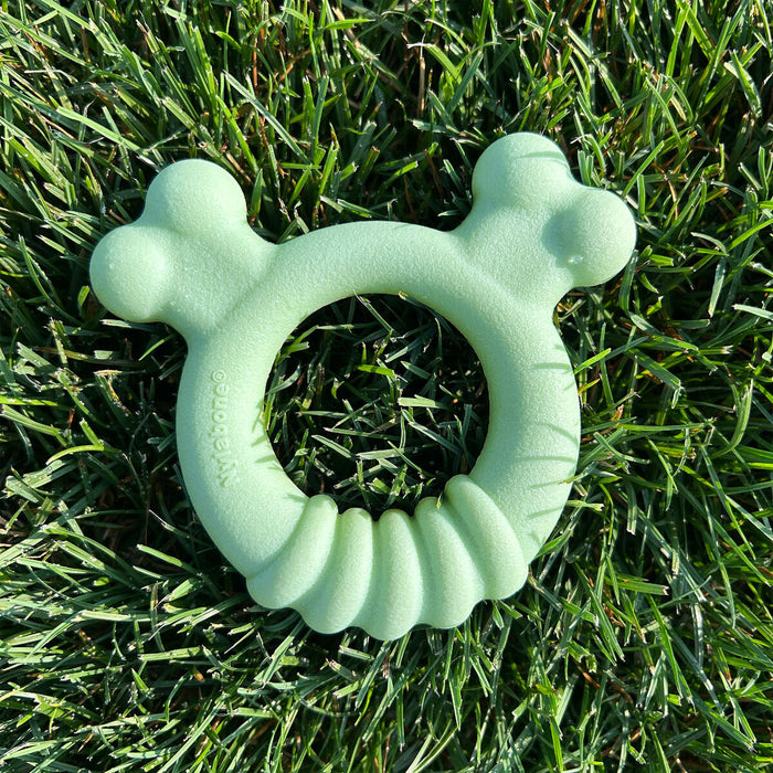 Dog chewing toy Nylabone SENSORY TACTILE RING Green Peanut butter Chicken S