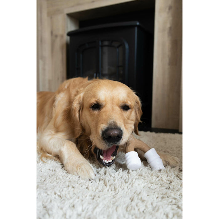 Dog chewing toy Nylabone Brown Peanut butter L