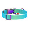 Nylon collar with QR code for Waudog gradient dog blue size XL - Walking and transportation<<<Pets<<<InnproXML