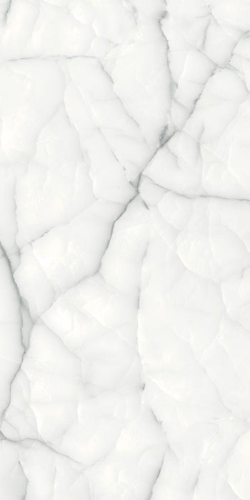GRANITOGRES 60X120 THUNDER ONYX SILVER