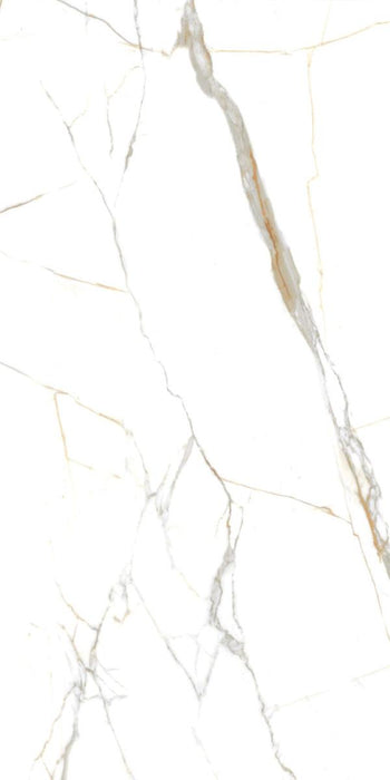 GRANITOGRES 60X120 INDIGO STATUARIO