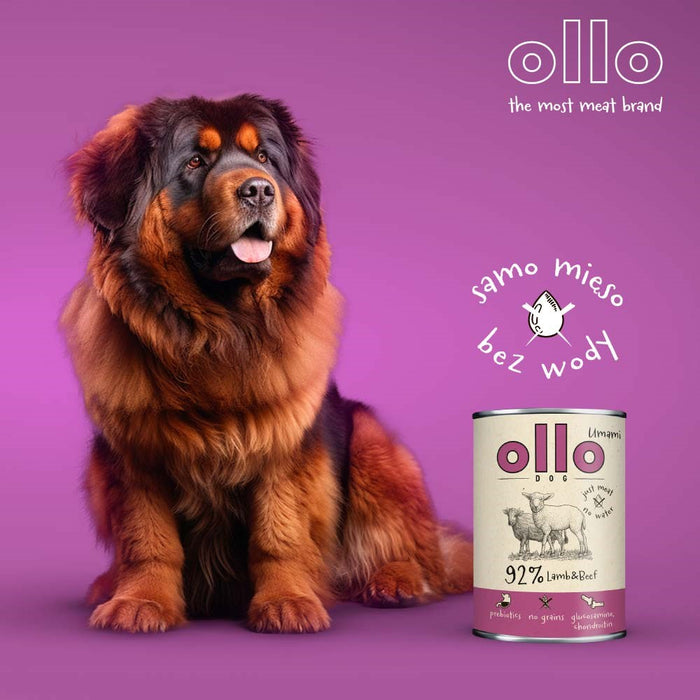 OLLO Umami Lamb and beef - wet dog food - 850g