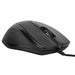 Optical mouse Targus AMU81AMGL Black - Електроника Периферни и резервни части<<<Компютри| Електроника<<<BigBuy&&&Мишки