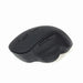 Optical Wireless Mouse GEMBIRD MUSW-6B-02 1600 dpi - Електроника Периферни и резервни части<<<Компютри|