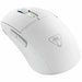 Optical Wireless Mouse Turtle Beach TBM-2101-15 White 26000 DPI - Електроника Периферни и резервни части<<<Компютри|