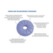 Orthopaedic seat cushion ‘PERFECT BALANCE’ - Orthopedic pillowsSYP-POR<<<BedroomSYP<<<ActionPL