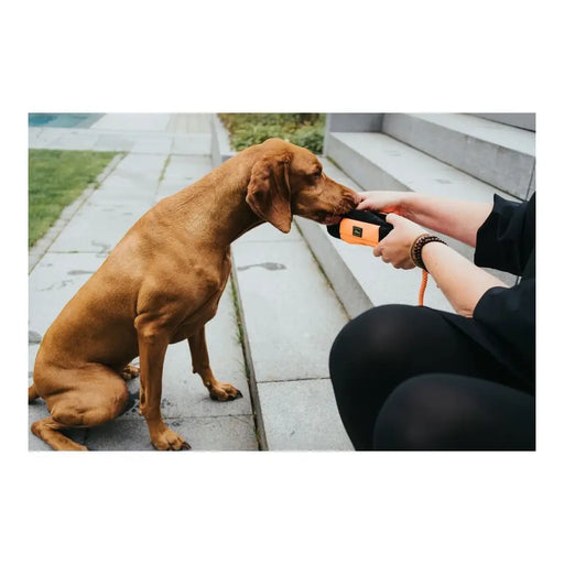 Packaging Hunter Dummy Snacks Black Orange - Домашни Животни<<<Дом Градина<<<BigBuy&&&Купички за храна и вода<<<Домашни