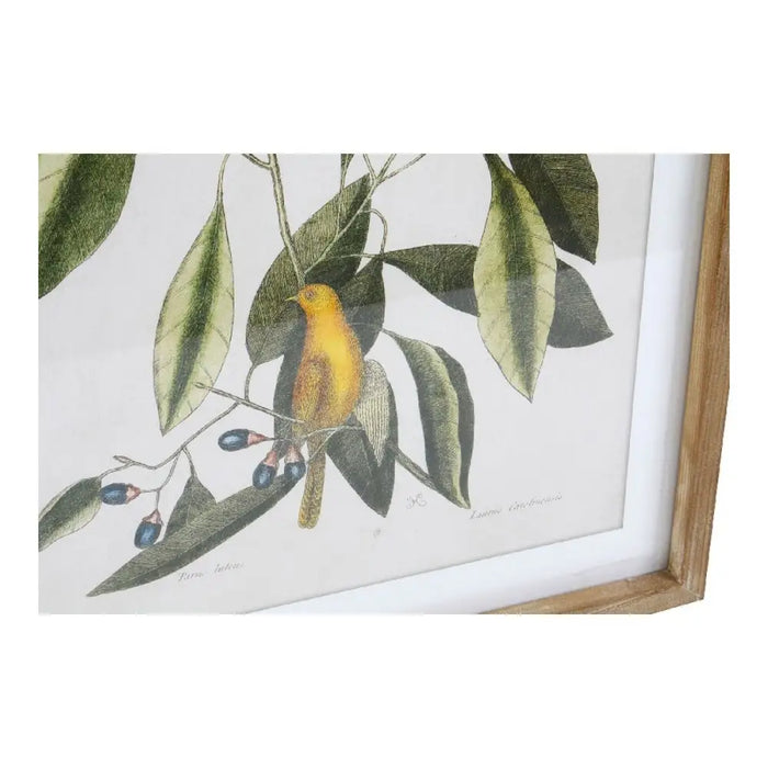 Painting DKD Home Decor Bird Crystal Fir 55 x 2,5 x 70 cm (4 Pieces) - Декорация и Осветление<<<Дом