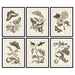 Painting DKD Home Decor Crystal MDF Wood 50 x 2,5 x 65 cm - Декорация и Осветление<<<Дом Градина<<<BigBuy&&&Картини и