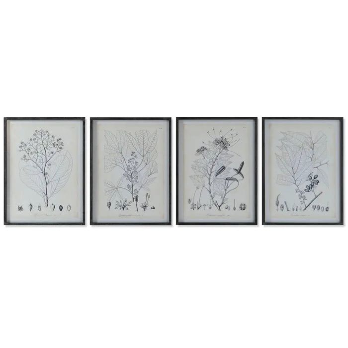 Painting DKD Home Decor Modern Botanical plants 45 x 2,5 x 60 cm (4 Units) - Декорация и Осветление<<<Дом