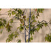 Painting Home ESPRIT Aluminium MDF Wood 80 x 3,5 x 160 cm - Декорация и Осветление<<<Дом Градина<<<BigBuy&&&Картини и