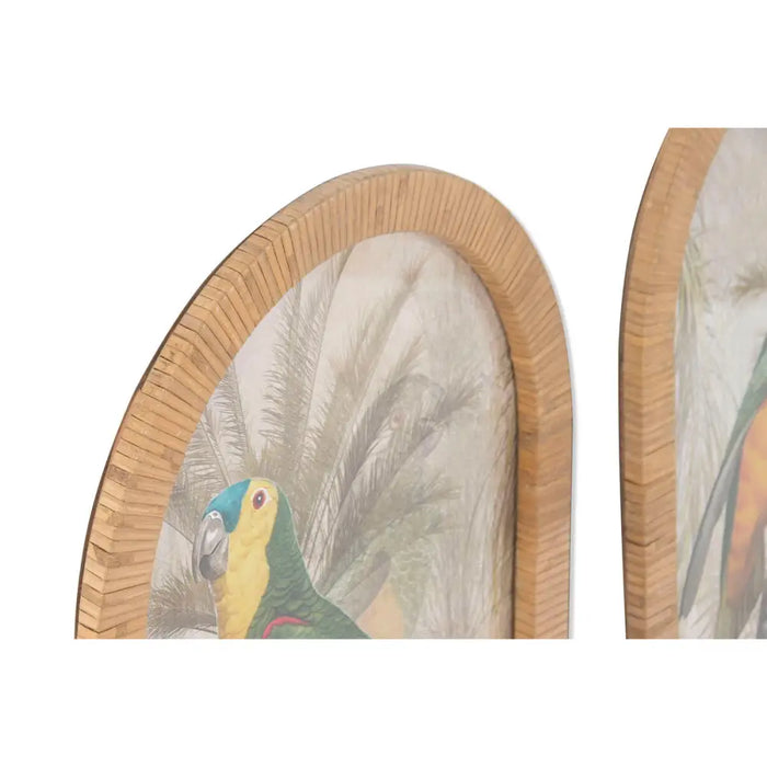 Painting Home ESPRIT Green Natural Parrot Tropical (2 Units) - Декорация и Осветление<<<Дом Градина<<<BigBuy&&&Картини