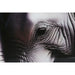 Painting Home ESPRIT Tempered Glass 150 x 0,4 x 100 cm - Декорация и Осветление<<<Дом Градина<<<BigBuy&&&Картини и