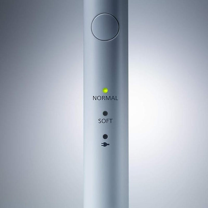 Electric toothbrush Panasonic EW-DM81-G503