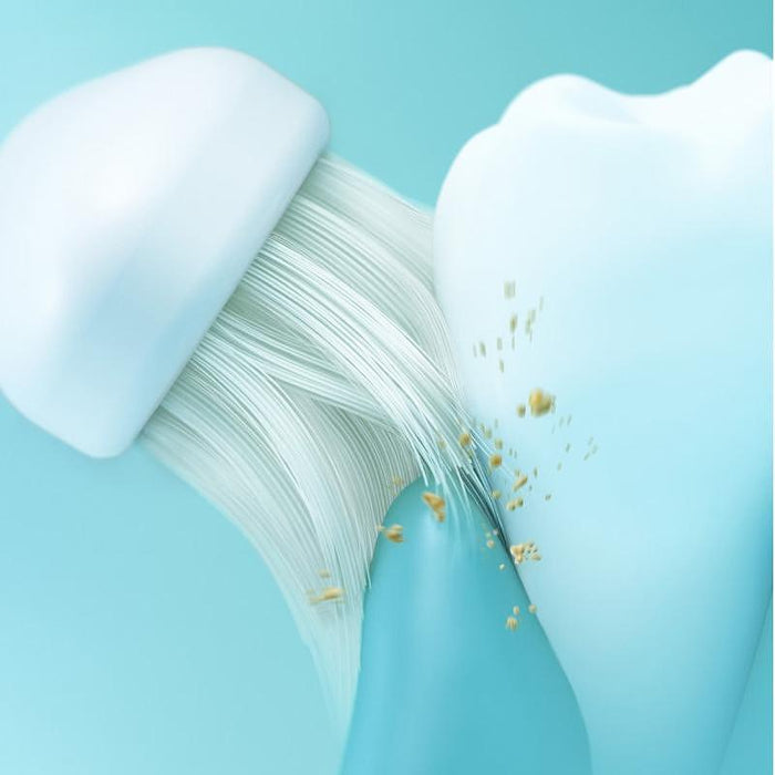 Electric toothbrush Panasonic EW-DM81-K503