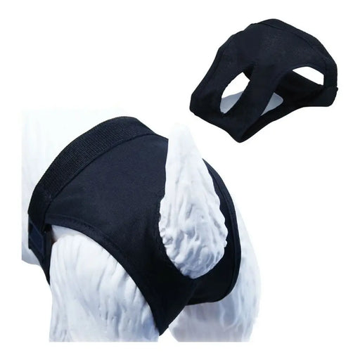 Panties Gloria Slip (50-59 cm) - Домашни Животни<<<Дом Градина<<<BigBuy&&&Здраве и хигиена<<<Домашни Животни<<<Дом