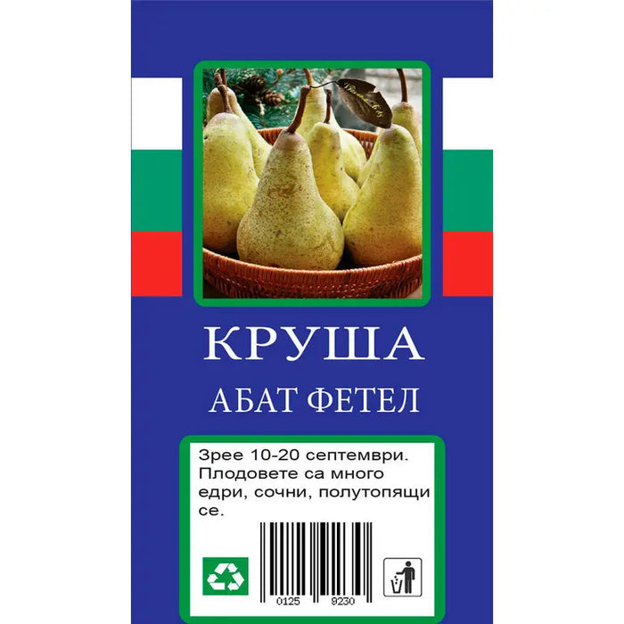 PEAR WITH PACKAGED ROOT - Овошки<<<Външни растения<<<Градина<<<Praktiker
