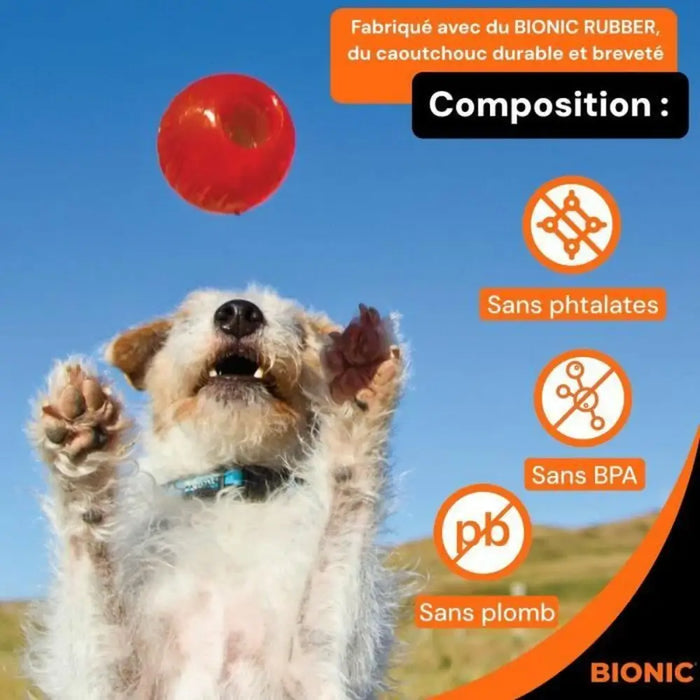 Pet Ball Bionic animals - Играчки<<<Домашни Животни<<<Дом Градина<<<BigBuy