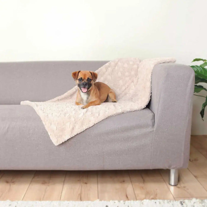 Pet blanket Trixie Cosy Beige Plush 100 × 70 CM - Домашни Животни<<<Дом Градина<<<BigBuy&&&Къщички и легълца<<<Домашни