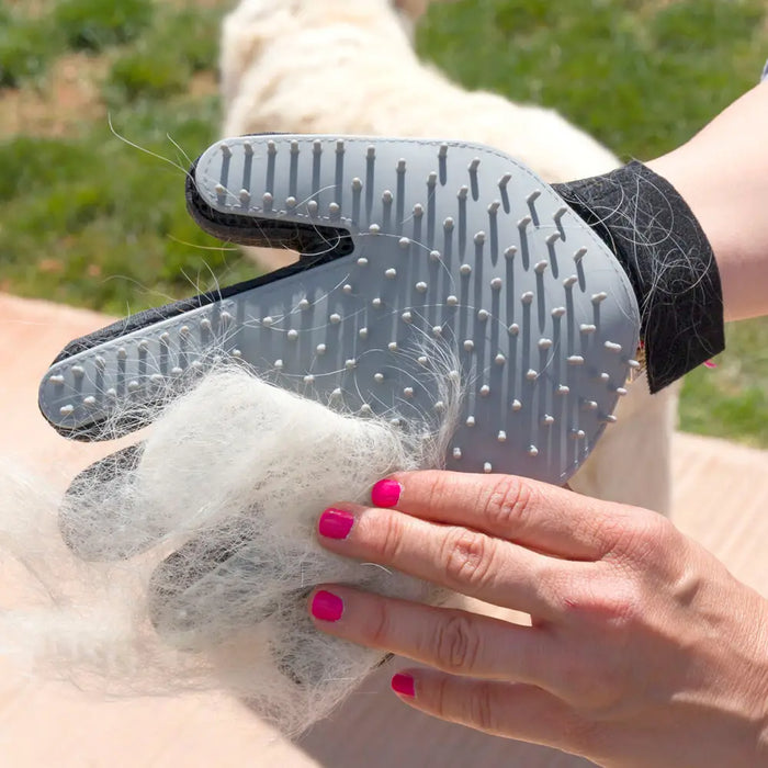 Pet Brush & Massage Glove Relpet InnovaGoods - Домашни Животни<<<Дом Градина<<<BigBuy&&&Здраве и хигиена<<<Домашни