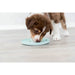 Pet feeding dish Trixie Junior Licking Ø 15 cm Green Mint - Домашни Животни<<<Дом Градина<<<BigBuy&&&Купички за храна и
