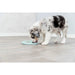 Pet feeding dish Trixie Junior Licking Ø 15 cm Green Mint - Домашни Животни<<<Дом Градина<<<BigBuy&&&Купички за храна и
