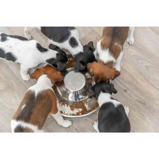 Pet feeding dish Trixie Stainless steel 1,4 L Silver - Домашни Животни<<<Дом Градина<<<BigBuy&&&Купички за храна и