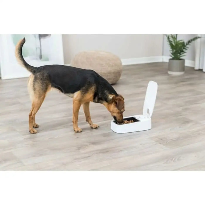 Pet feeding dish Trixie White Black Plastic 300 ml - Домашни Животни<<<Дом Градина<<<BigBuy&&&Купички за храна и
