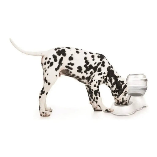 Pet Water Fountain MPETS White Plastic 3,5 L - Домашни Животни<<<Дом Градина<<<BigBuy&&&Купички за храна и