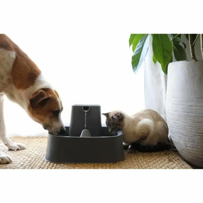 Pet Water Fountain PetSafe 7,5 L - Домашни Животни<<<Дом Градина<<<BigBuy&&&Купички за храна и вода<<<Домашни
