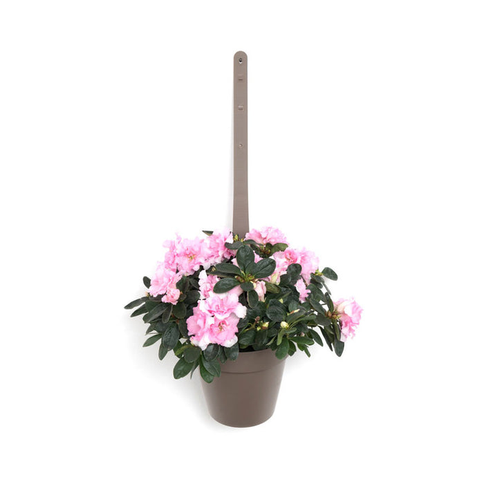 PLASTIC POT F18CM FOR HANGING PLASTECNIC MY MOOD VASO APP