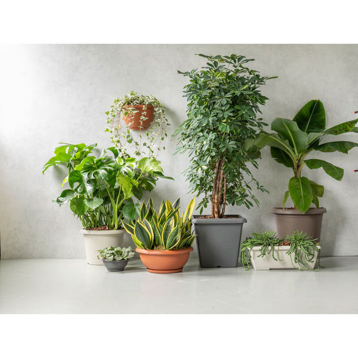 PLASTIC BOX 50CM PLASTECNIC TERRAE BOX