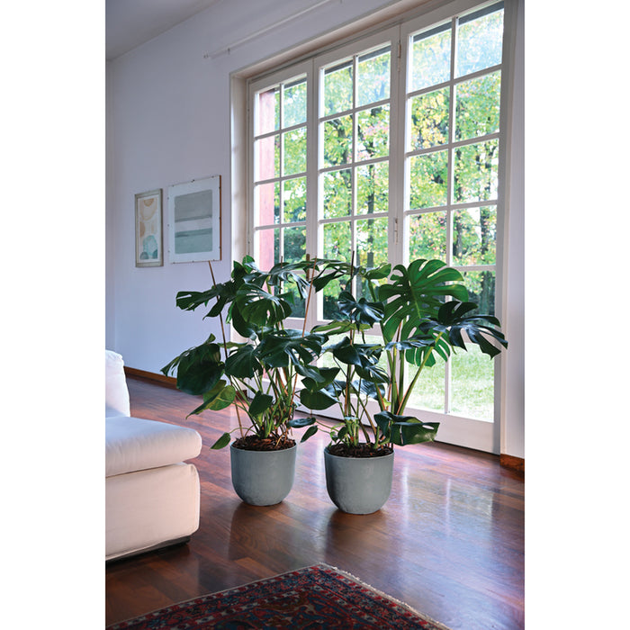 PLASTIC SWING POT Ф30CM PLASTECNIC SWING POT 30