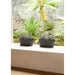 PLASTIC BOX 40CM TERA VEGA - Сандъци<<<Саксии кашпи и цветарници<<<Градина<<<Praktiker