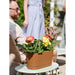 PLASTIC BOX 40CM TERA VEGA - Сандъци<<<Саксии кашпи и цветарници<<<Градина<<<Praktiker