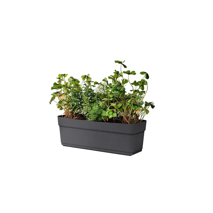 PLASTIC BOX 50CM TERA BLOSSOM - Сандъци<<<Саксии кашпи и цветарници<<<Градина<<<Praktiker