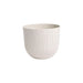PLASTIC NATURE POT 30CM PLASTECNIC NATURE POT 30 - Кашпи<<<Саксии кашпи и цветарници<<<Градина<<<Praktiker