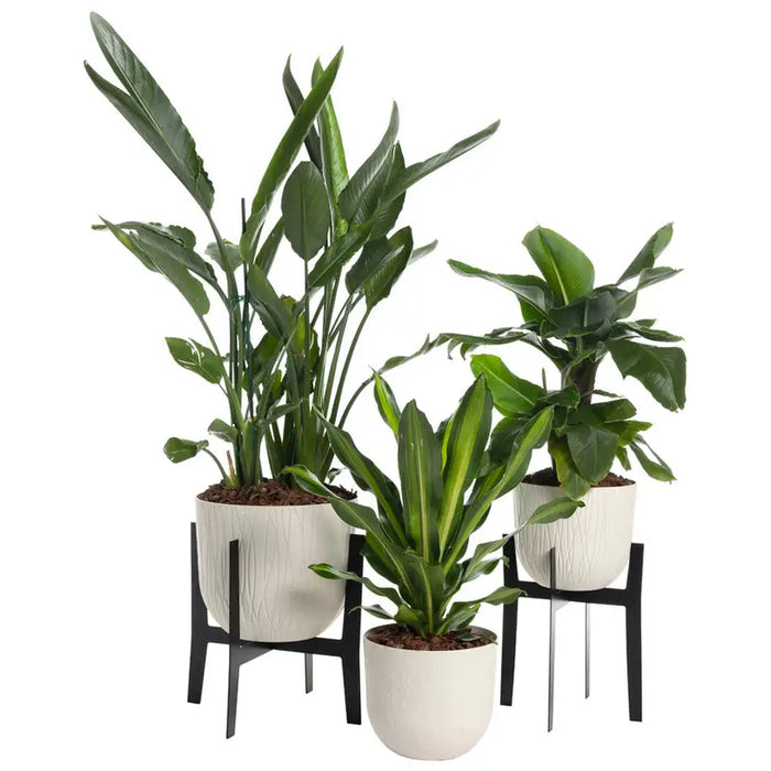 PLASTIC NATURE POT 30CM PLASTECNIC NATURE POT 30 - Кашпи<<<Саксии кашпи и цветарници<<<Градина<<<Praktiker