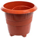 PLASTIC POT F17CM - Саксии<<<Саксии кашпи и цветарници<<<Градина<<<Praktiker&&&Саксии<<<Саксии кашпи и