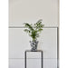 PLASTIC POT Φ20CM TERA PORTO - Кашпи<<<Саксии кашпи и цветарници<<<Градина<<<Praktiker