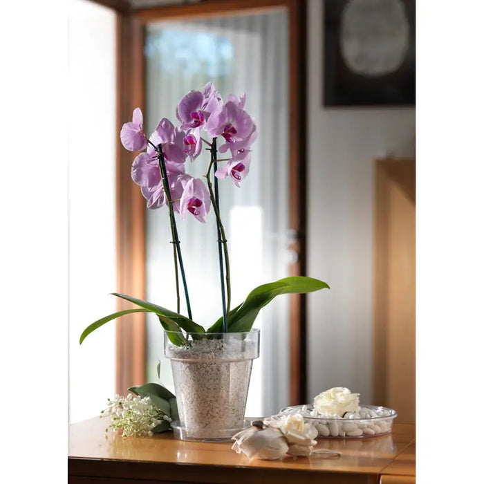 PLASTIC POT Φ20CM TERA PORTO - Кашпи<<<Саксии кашпи и цветарници<<<Градина<<<Praktiker