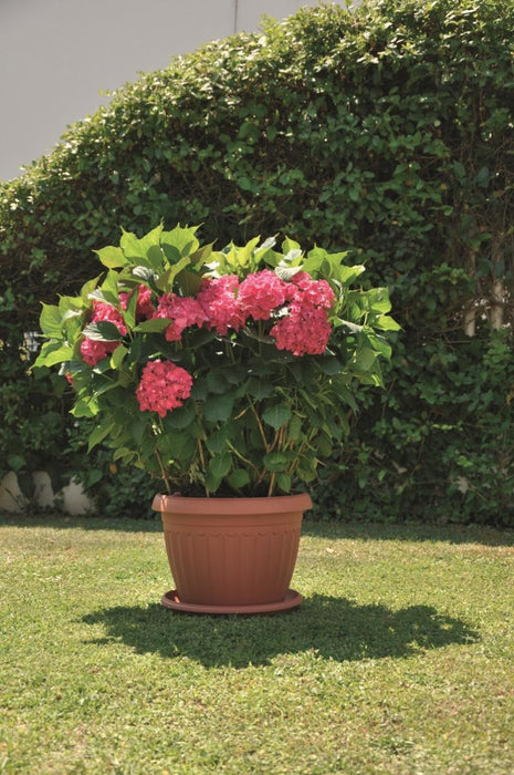 CORFU POT 25X19