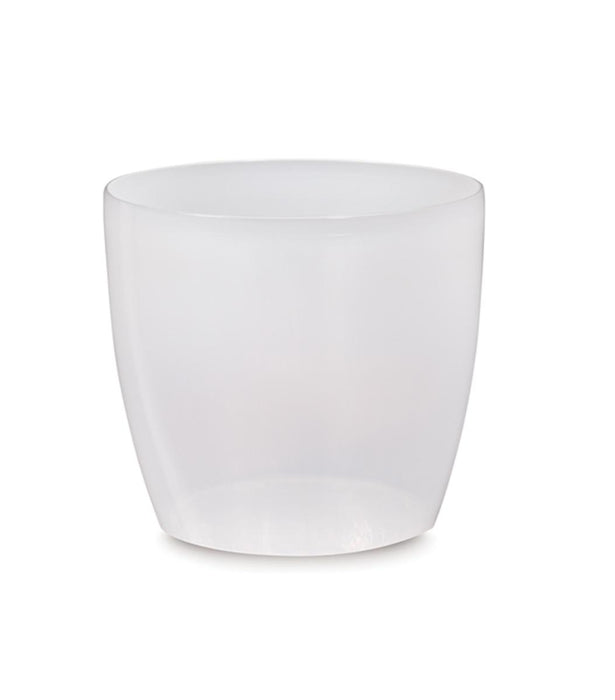 ROTO BOX 14CM TRANSPARENT