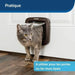 Play tunnel PetSafe - Домашни Животни<<<Дом Градина<<<BigBuy&&&Къщички и легълца<<<Домашни Животни<<<Дом