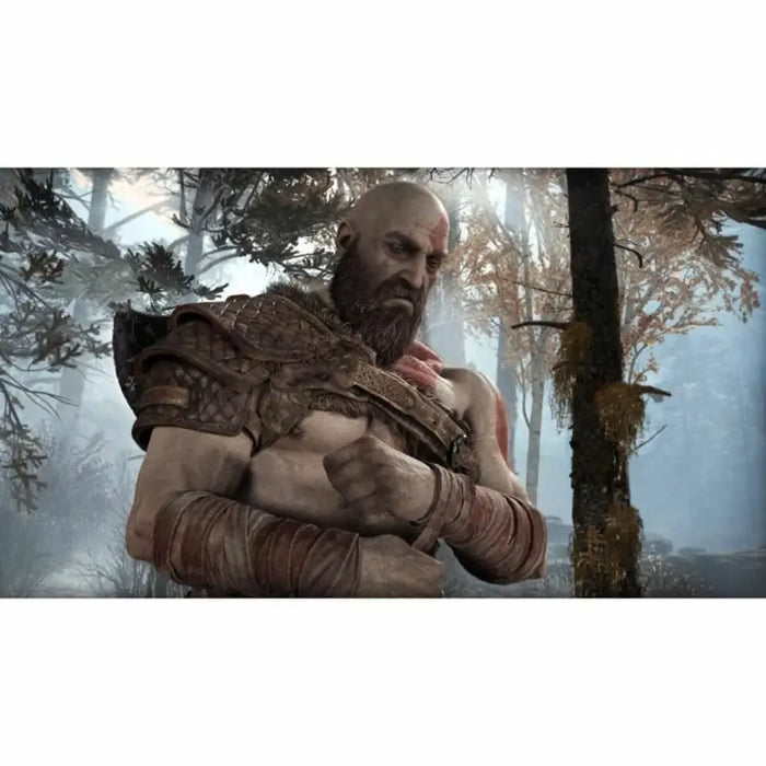 PlayStation 4 Video Game Santa Monica Studio Gof of War Playstation Hits - Електроника Игри<<<Компютри|