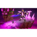 PlayStation 5 Video Game Just For Games LEGO PARTY! - Електроника Игри<<<Компютри| Електроника<<<BigBuy&&&Видео