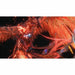 PlayStation 5 Video Game Square Enix Final Fantasy XVI - Електроника Игри<<<Компютри| Електроника<<<BigBuy&&&Видео
